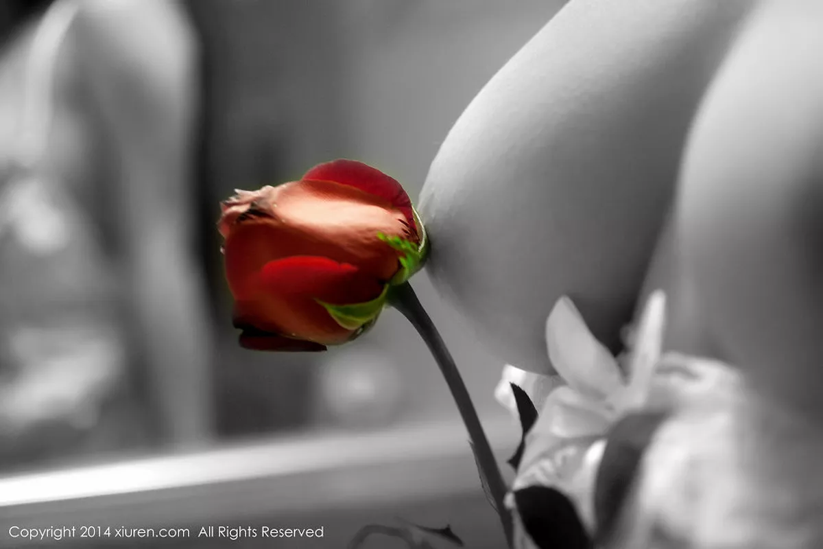 [XiuRen秀人网]第104期杨依写真-秀人资源网